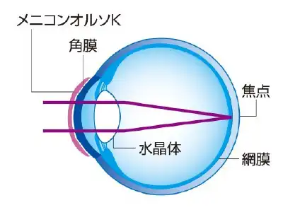 つけている間